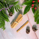 Palo Santo - Svaté dřevo