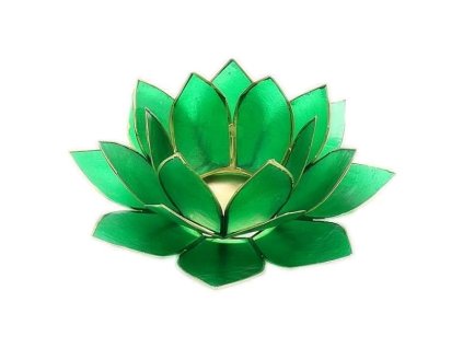 011f4b1ef609c067388059811d40a60f2f966ef2bb