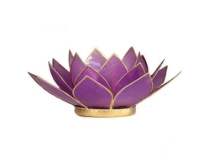 01fb1e29c889e2846ec96b154aa2f2c30890cff9cd