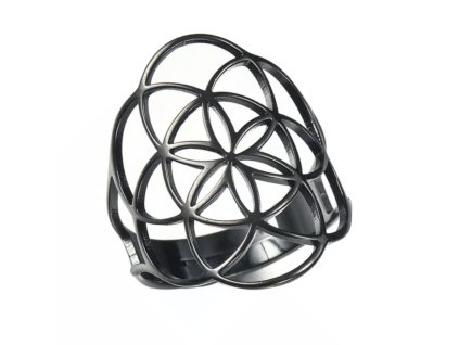 C411DAA9 407F 4F55 854E 826F1AECF844