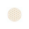 flower of life gold