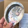 Očista - dárková sada s bílou mušlí Abalone