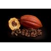 surovina cacao small