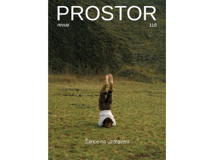 Šance na uzdravení, Revue Prostor č. 118 TISK