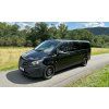 Mercedes Vito 116 na týden
