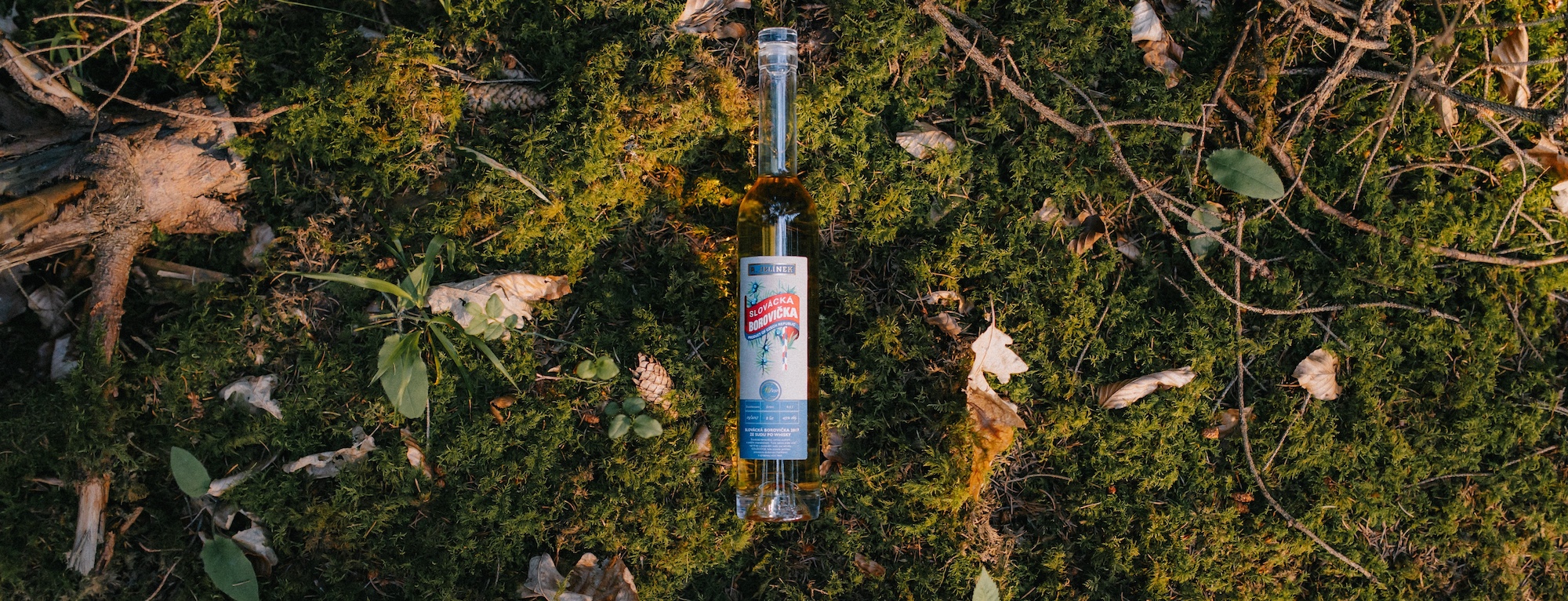 Slovácká borovička 2017 ze sudu po whisky