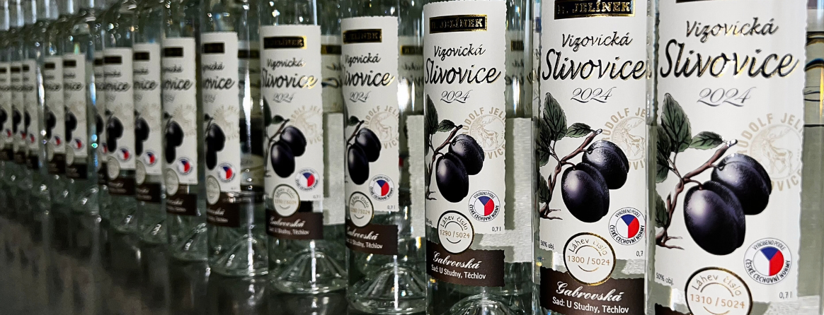 Vizovická 2024 Gabrovská