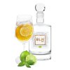 BLN Bio Gin & Tonic