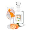 BLN Bio Mandarinen Geist & Tonic