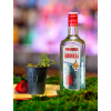 Slovácká borovička 45% 0,7l