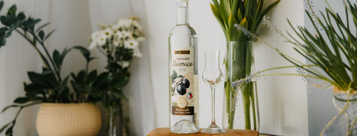 Vizovická 2024 Gabrovská