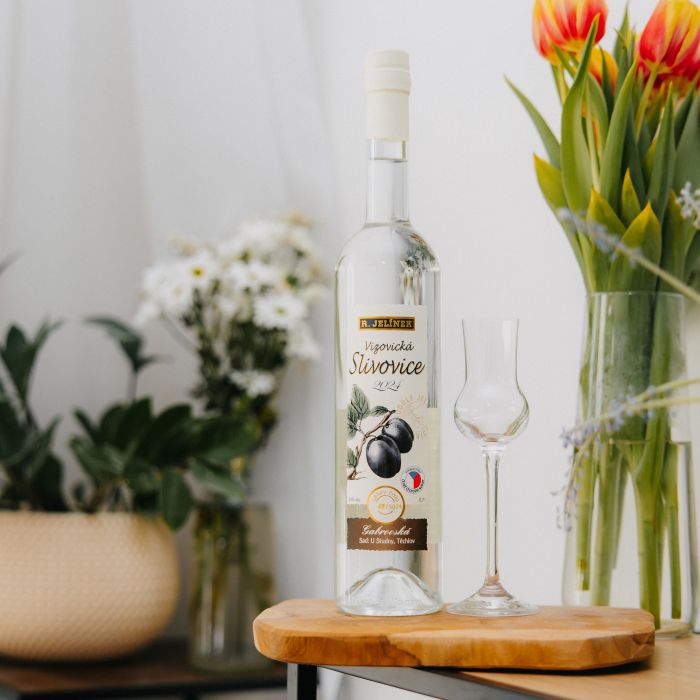 Vizovická 2024 Gabrovská