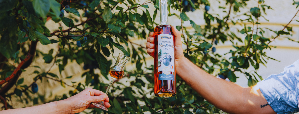 Vizovická slivovica 2023