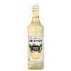 Pina Colada MIXEUR 1LPET 1