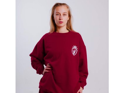 ROBIN ZOOT MERCH0168 (1)