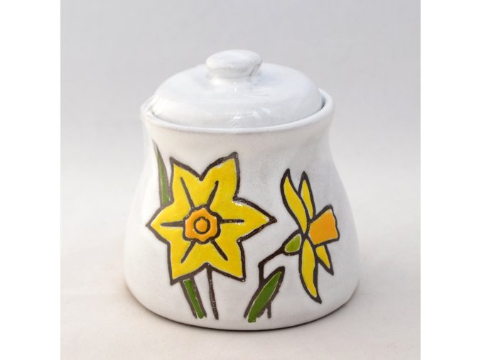 K 309 117 Narcis