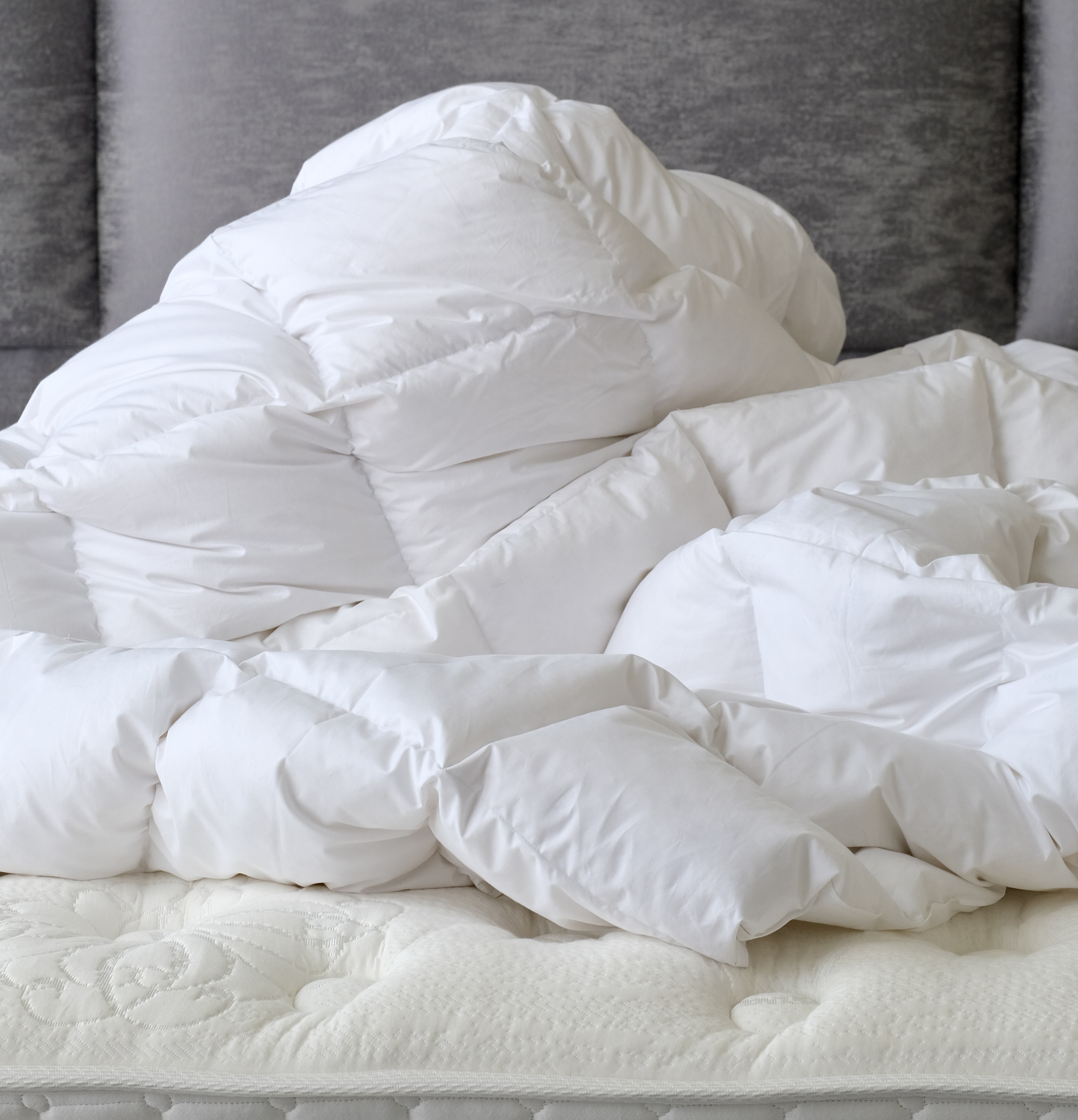 Exclusive Royal Comfort down pillows and duvets