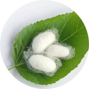 1_hedvabi