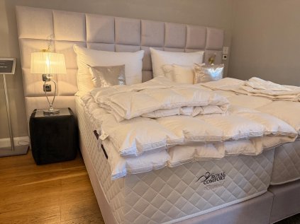 PHOTO 2026 02 11 11 26 41