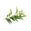 Špaldový aromatický polštář Mühldorfer