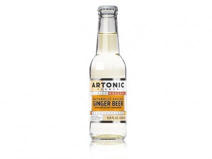 ARTONIC Tonic Naturaly Spiced Ginger Beer 12x 200ml