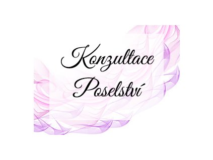 konzultace poselstvi
