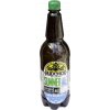 Rudohor Summer Ale 10° 1,0 litr PET