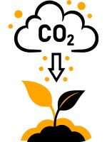 blog_Co2