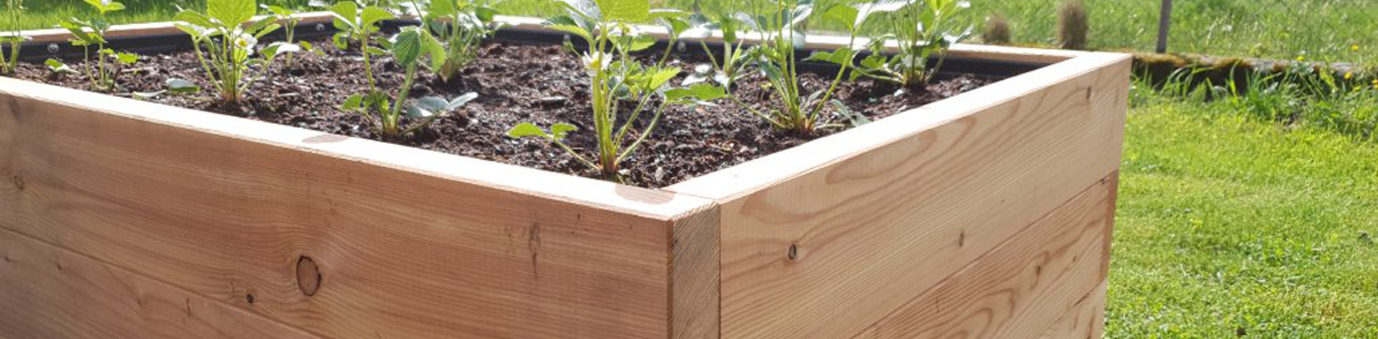 Vyvýšené záhony