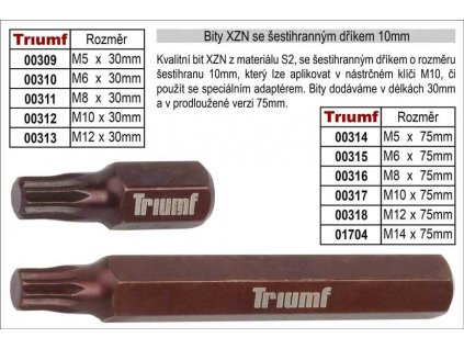 Bit XZN M 6 se šestihranným dříkem 10mm, prodloužený délka 75mm