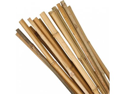 Tyč bambusová Garden KBT 0600/08-10mm, 10ks