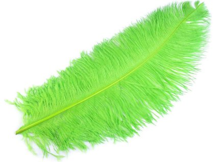 Pštrosí peří délka 60 cm (Balení 1 ks, Varianta 9 bílá)