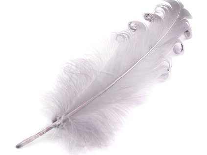 Husí peří kudrnaté délka 12-18 cm (Balení 4 ks, Varianta 7 černá)