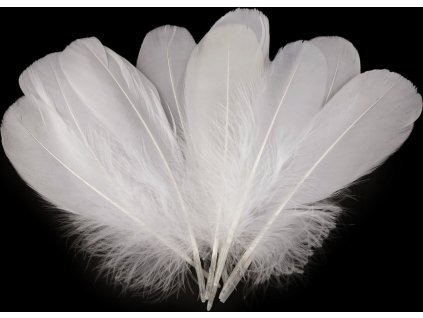 Husí peří délka 14-18 cm (Balení 10 ks, Varianta 3 žlutá)