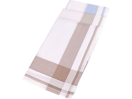 Pánský kapesník česaný exklusive (Balení 3 ks, Varianta 1 mix náhodných vzorů bílá)