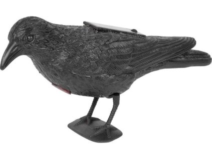 Plašič vtákov Havran čierny, solárny, zvuk