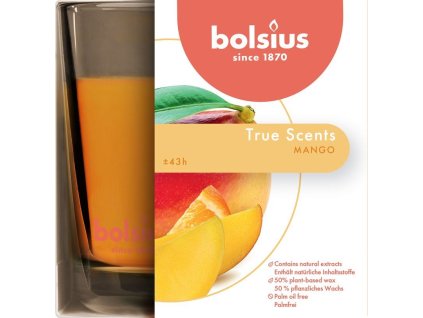 Svíčka Bolsius Jar True Scents 95/95 mm, vonná, mango, ve skle