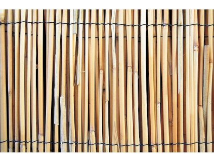 958cc616e606e21a103269a81e74c96d