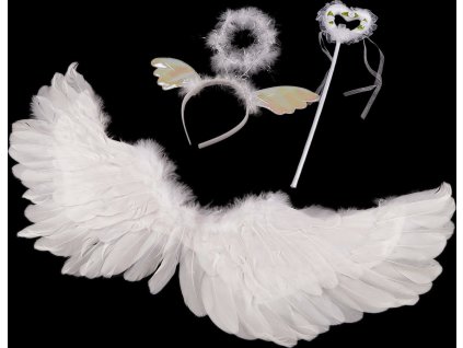 Karnevalová sada - anděl, péřová křídla (Varianta bílá, Balení 1 sada)