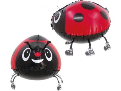 0024278 chodici balonek beruska 27 x 37 cm 600