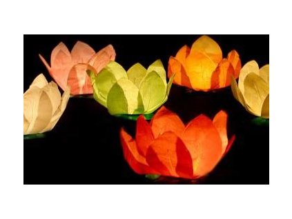 347b372a5f463fff5420897595407943