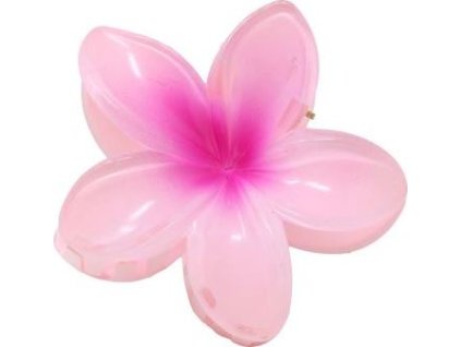 df941d55ac74b74371d9b31710a3bbd4