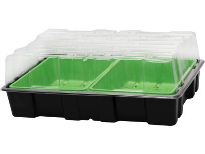 Minipařeniště s víkem 2 oddělené misky, 37,5x24x13 cm