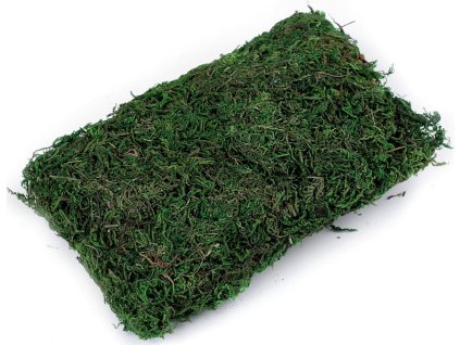 Dekorační mech 50 g (Balení 1 ks, Varianta zelená)