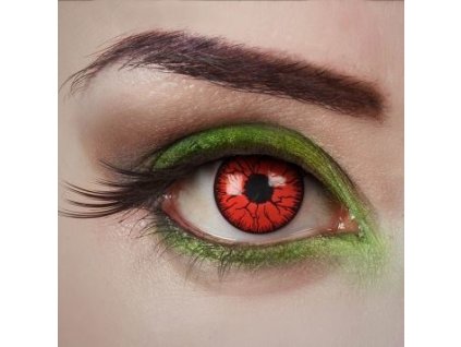 2324db898db0c4fd4057ddcb9b88c1ca