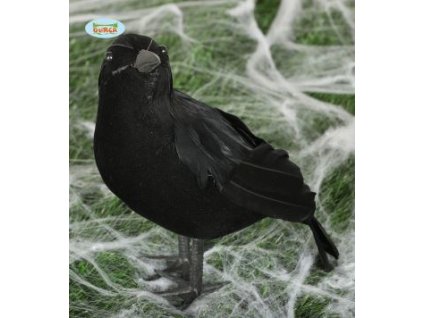 cc36897c4f0d45e231b451da89bc74d9