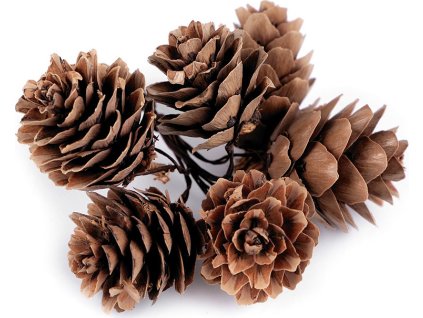 Přírodní šišky na drátku (Varianta hnědá přírodní, Balení 6 ks)