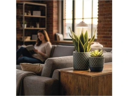 411016ef3764f4061659bed8d34070cb