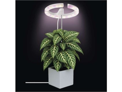 8988a3173fad22b03be9732840305a44