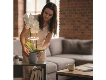 abcf11ff601741971d0404548da6b779